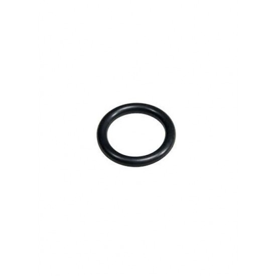 The Rinser Replacement Pitcher Rinser O-ring The Rinser Replacement Pitcher Rinser O-ring