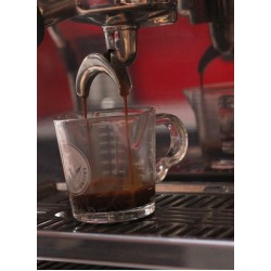 Rhino Coffee Gear Shot Glass - Double