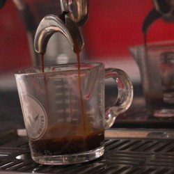 Rhino Coffee Gear Shot Glass - Double