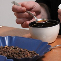 Rhino Pro Cupping Bowl SCAA