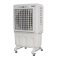 Colorato CLAC-600N Air Cooler