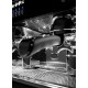 Wega Polaris EVD/1 + SPIW Επαγγελματική Μηχανή Espresso Με Θερμοσιφωνικό Σύστημα