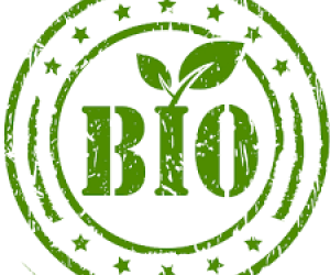 Biodegradable Items